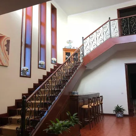 Palacio Das Camelias Пасуш-ди-Феррейра